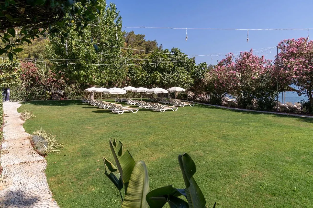 Alesta Midtown Aparthotel Fethiye Turquia